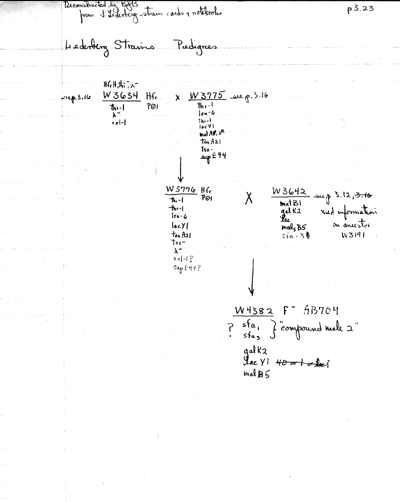 X2 BJBachmann Reconstruction p3.23